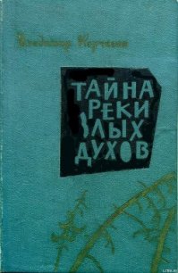 Тайна реки Злых Духов - Корчагин Владимир Владимирович (читаем полную версию книг бесплатно txt) 📗