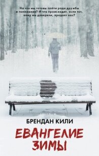 Евангелие зимы - Кили Брендан (бесплатные серии книг TXT, FB2) 📗