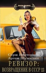 Ревизор: возвращение в СССР 23 (СИ) - Винтеркей Серж (читаемые книги читать онлайн бесплатно txt, fb2) 📗