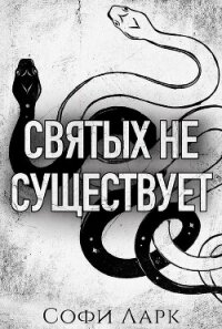 Святых не существует (ЛП) - Ларк Софи (книги онлайн бесплатно серия txt, fb2) 📗