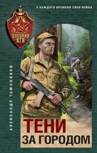 Тени за городом - Тамоников Александр (читать книги онлайн бесплатно серию книг .TXT, .FB2) 📗