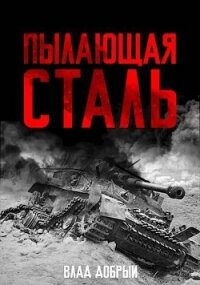 Пылающая сталь (СИ) - Добрый Владислав (книги бесплатно без регистрации .TXT, .FB2) 📗