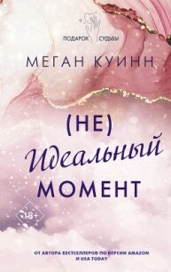 (Не)идеальный момент - Куин Меган (электронная книга txt, fb2) 📗