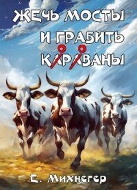 Жечь мосты и грабить корованы (СИ) - Михнегер Егор (читать книги онлайн без сокращений .TXT, .FB2) 📗