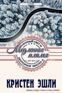 Медленное пламя (ЛП) - Эшли Кристен (читать полную версию книги .txt, .fb2) 📗