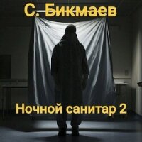 Ночной санитар 2 (СИ) - Бикмаев Сергей (книга бесплатный формат TXT, FB2) 📗