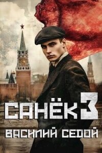 Санек 3 (СИ) - Седой Василий (читать книги полностью .txt, .fb2) 📗