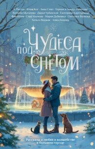 Чудеса под снегом. Рассказы о любви и волшебстве в большом городе - Шаталова Валерия (книги онлайн читать бесплатно .txt, .fb2) 📗