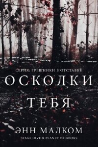 Осколки тебя (ЛП) - Малком Энн (мир книг .TXT, .FB2) 📗