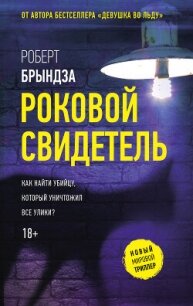 Роковой свидетель - Брындза Роберт (читать бесплатно книги без сокращений txt, fb2) 📗