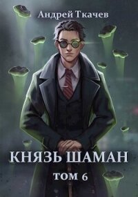 Князь шаман. Том 6 (СИ) - Протоиерей (Ткачев) Андрей (серии книг читать онлайн бесплатно полностью txt, fb2) 📗