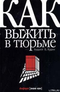 Как выжить в тюрьме - Кудин Андрей Вячеславович (читать полную версию книги TXT) 📗