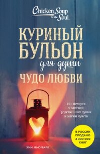 Куриный бульон для души. Чудо любви. 101 история о надежде, родственных душах и магии чувств - Ньюмарк Эми (мир книг .TXT, .FB2) 📗