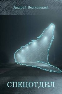 Спецотдел 3 (СИ) - Волковский Андрей (читать книги онлайн бесплатно без сокращение бесплатно .txt, .fb2) 📗