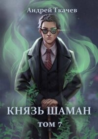 Князь шаман. Том 7 (СИ) - Протоиерей (Ткачев) Андрей (лучшие бесплатные книги .txt, .fb2) 📗