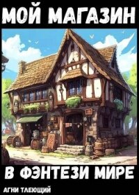 Мой магазин с нуля (СИ) - "Жаркое Пламя" (смотреть онлайн бесплатно книга .txt, .fb2) 📗