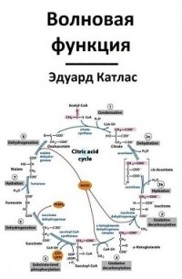 Волновая функция (СИ) - Катлас Эдуард (читать книги онлайн полные версии txt, fb2) 📗