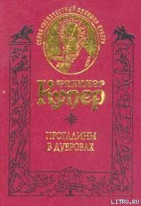 Прогалины в дубровах, или Охотник за пчелами - Купер Джеймс Фенимор (читать книги онлайн полностью без регистрации .TXT) 📗