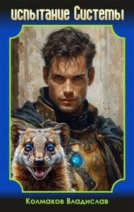 Испытание системы (СИ) - Колмаков Владислав Викторович "Соло1900" (книги онлайн без регистрации .txt, .fb2) 📗