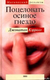 Поцеловать осиное гнездо - Кэрролл Джонатан (лучшие книги читать онлайн бесплатно без регистрации .txt) 📗