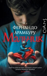 Мальчик - Арамбуру Фернандо (книги онлайн бесплатно серия .TXT, .FB2) 📗