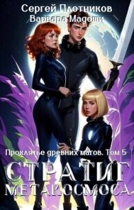 Стратиг метакосмоса (СИ) - Плотников Сергей Александрович (книги бесплатно полные версии .TXT, .FB2) 📗