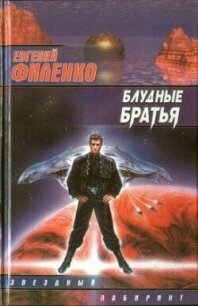 Блудные братья - Филенко Евгений Иванович (книги бесплатно без .txt, .fb2) 📗