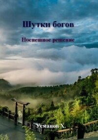 Шутки богов. Поспешное решение - Усманов Хайдарали (книги онлайн читать бесплатно .TXT, .FB2) 📗