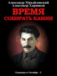 Время собирать камни. Том 2 - Михайловский Александр Борисович (читать книги без .TXT, .FB2) 📗
