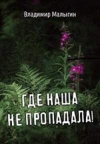 Где наша не пропадала. Трилогия (СИ) - Малыгин Владимир (книги полностью бесплатно .txt, .fb2) 📗