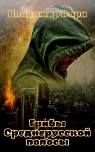 Грибы Среднерусской полосы - Корн Владимир Алексеевич (книги читать бесплатно без регистрации txt, fb2) 📗