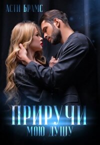 Приручи мою душу - "Asti Brams" (читаем книги онлайн txt, fb2) 📗