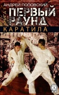 Каратила. Книга 1. Первый раунд - Поповский Андрей Владимирович (книги онлайн полностью бесплатно .TXT, .FB2) 📗