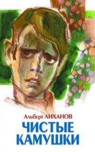 Чистые камушки - Лиханов Альберт Анатольевич (лучшие книги TXT) 📗