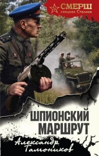 Шпионский маршрут - Тамоников Александр Александрович (читать книги онлайн полностью без сокращений TXT, FB2) 📗