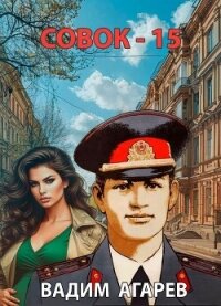 Совок 15 (СИ) - Агарев Вадим (читать книги онлайн без регистрации txt, fb2) 📗