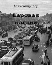 Шаровая молния (СИ) - Гор Александр (бесплатные онлайн книги читаем полные версии .txt, .fb2) 📗