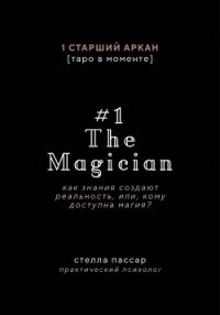 The Magician. Как знания создают реальность, или, Кому доступна магия. Первый старший аркан - Пассар Стелла (книги серии онлайн .txt, .fb2) 📗