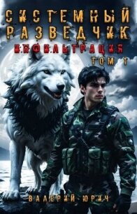 Системный разведчик. Инфильтрация. Дилогия (СИ) - Юрич Валерий (читаем книги онлайн бесплатно без регистрации txt, fb2) 📗
