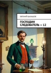 Господин следователь. Книга 12 (СИ) - Шалашов Евгений Васильевич (книги онлайн .txt, .fb2) 📗
