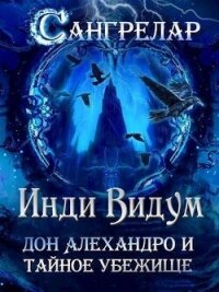 Дон Алехандро и Тайное Убежище (СИ) - Видум Инди (читаем книги бесплатно txt, fb2) 📗
