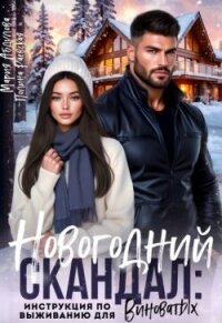 Новогодний скандал: инструкция по выживанию для виноватых (СИ) - Раевская Полина (книги онлайн бесплатно TXT, FB2) 📗