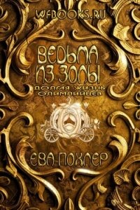Ведьма из золы (ЛП) - Похлер Ева (читать книги онлайн бесплатно полностью без сокращений TXT, FB2) 📗