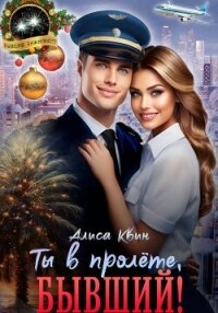 Ты в пролете, бывший! - Квин Алиса (книги читать бесплатно без регистрации полные .TXT, .FB2) 📗