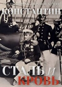 Сталь и Кровь (СИ) - Оченков Иван Валерьевич (книги онлайн полностью бесплатно TXT, FB2) 📗