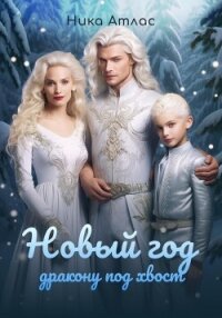 Новый год дракону под хвост - Атлас Ника (бесплатные онлайн книги читаем полные версии TXT, FB2) 📗