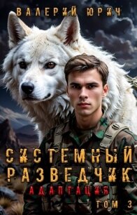 Системный разведчик. Адаптация. Том 3 (СИ) - Юрич Валерий (мир бесплатных книг .txt, .fb2) 📗