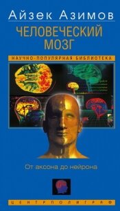 Человеческий мозг. От аксона до нейрона - Азимов Айзек (читаем книги онлайн бесплатно txt, fb2) 📗