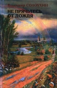 Не прячьтесь от дождя - Солоухин Владимир Алексеевич (лучшие книги читать онлайн бесплатно без регистрации .TXT, .FB2) 📗