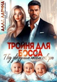 Тройня для босса. Под звёздным небом севера - Ларина Алла (книги онлайн без регистрации .TXT, .FB2) 📗